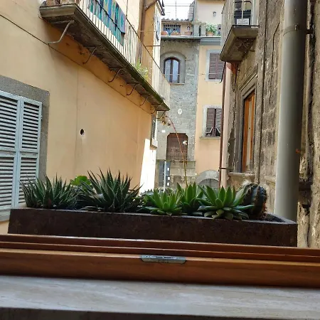 Apartment Casa Annio *